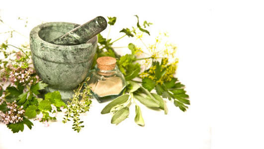 toko herbal online